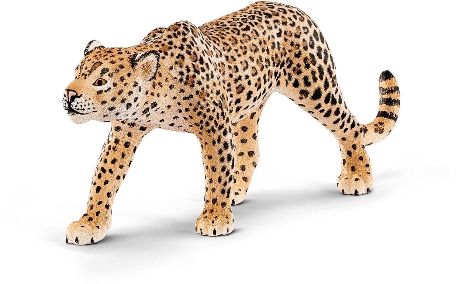 Buy Schleich Leopard 14748