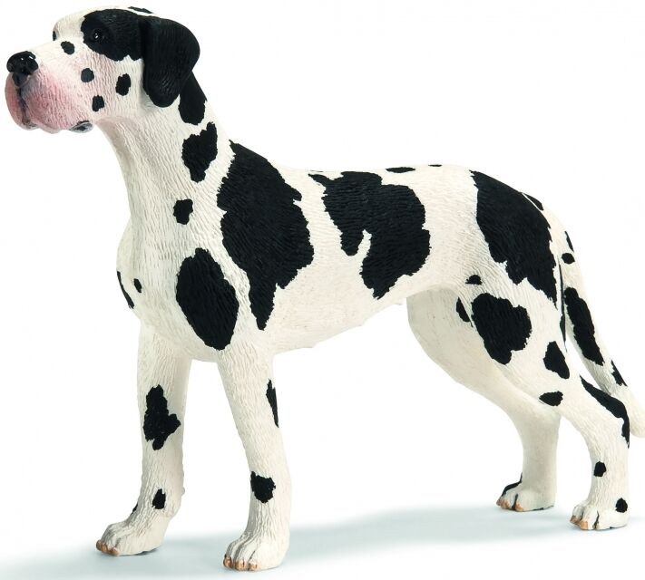 Buy Schleich Great Dane Female 16384