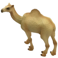 Science & Nature - Camel