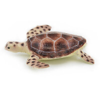 Science & Nature - Green Turtle