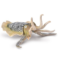 Collecta - Common Cuttlefish 80009