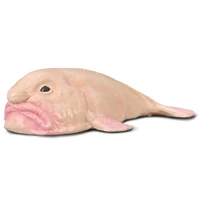 Collecta - Blobfish 80037