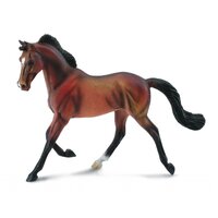 Collecta - Thoroughbred Mare Bay 88477