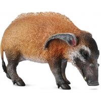 Collecta - Red River Hog 88554