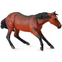 Collecta - Quarter Horse Stallion Bay 88584