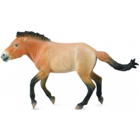 Collecta - Przewalski Stallion 88602