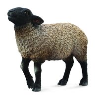 Collecta - Suffolk Sheep 88636
