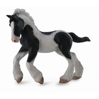 Collecta - Gypsy Foal - Black & White Piebald 88770