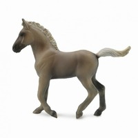 Collecta - Rocky Mountain Foal Chocolate 88799