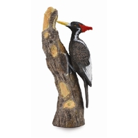 Collecta - Ivory-Billed Woodpecker 88802