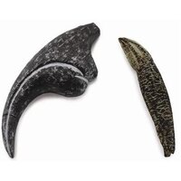 Collecta - Allosaurus - Tooth & Finger Claw 89288