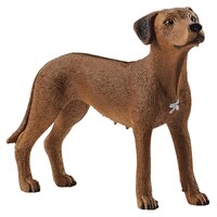 Schleich - Rhodesian Ridgeback 13895