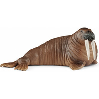 Schleich - Walrus 14803