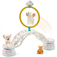 Schleich - Winged Baby Lion Training 42524