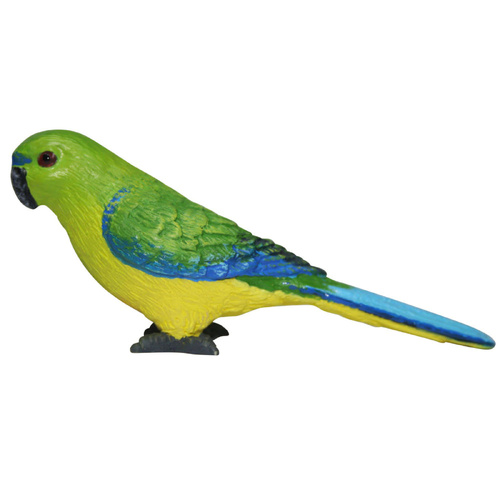 Science & Nature - Orange Bellied Parrot
