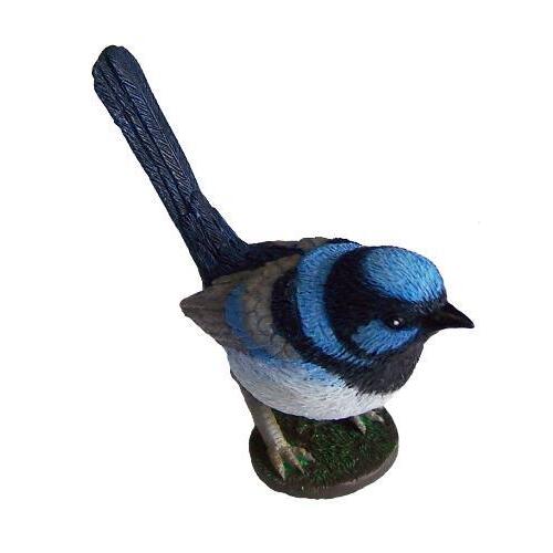 Science & Nature - Blue Wren