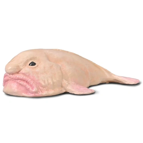 Collecta - Blobfish 80037