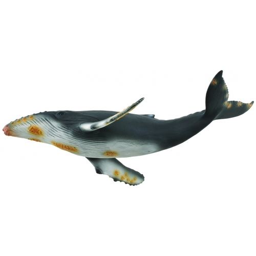 Collecta - Hump Back Whale 88347