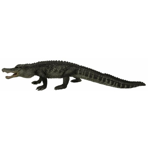 Collecta - American Alligator 88609