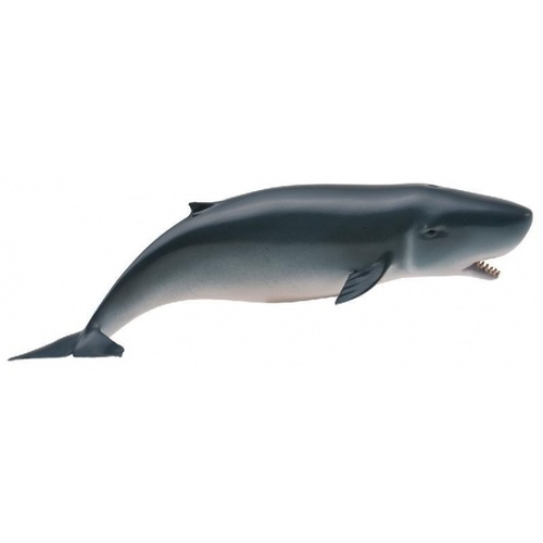 Collecta - Pygmy Sperm Whale 88653
