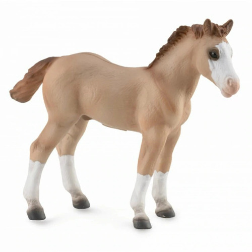 Collecta - Quarter Foal Red Dun 88814