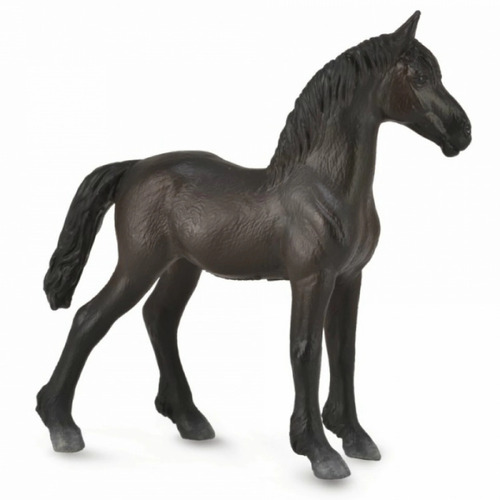 Collecta - Friesian Foal Black 88815