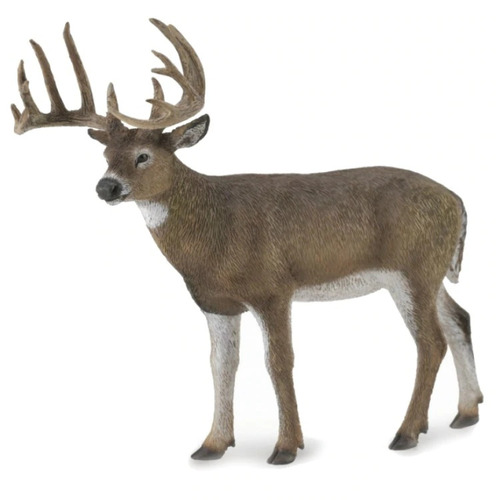 Collecta - White-Tailed Deer 88832
