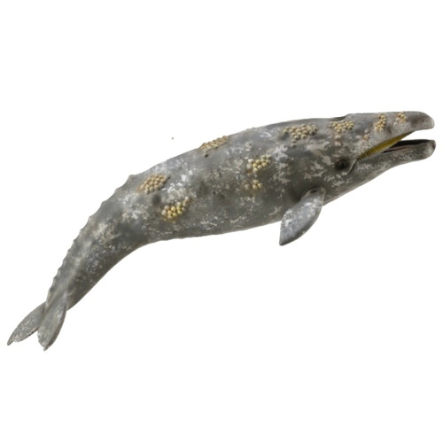 Collecta - Gray Whale 88836