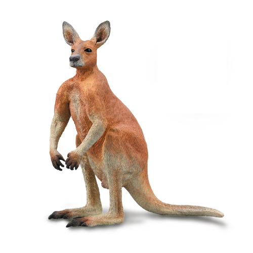 Collecta - Red Kangaroo Male 88942