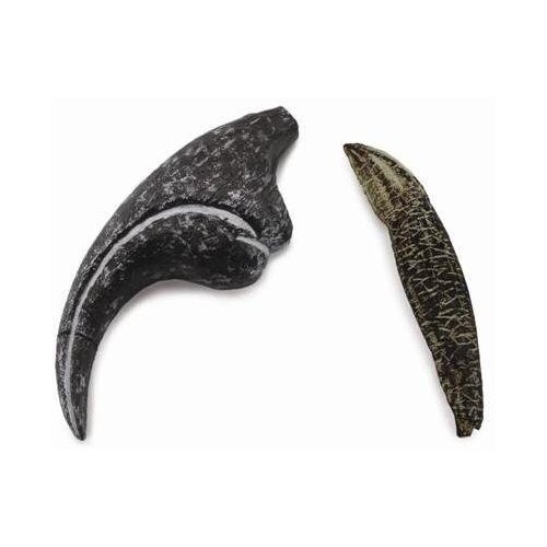 Collecta - Allosaurus - Tooth & Finger Claw 89288